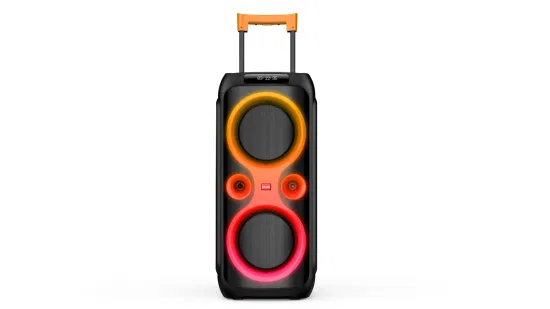 2022 Haut-parleur privé haute puissance PA Audio double 10 pouces sans fil Bluetooth DJ Disco karaoké Woofer haut-parleurs de fête avec amplificateur intégré Caixa De Son De 100W