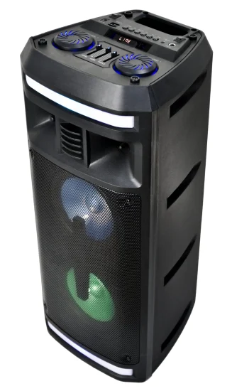 Haut-parleur audio Bluetooth avec LED double 6,5 pouces sans fil DJ portable PA Party Karaoké Sound Box Rechargeable Multimédia 5W Haut-parleur ED
